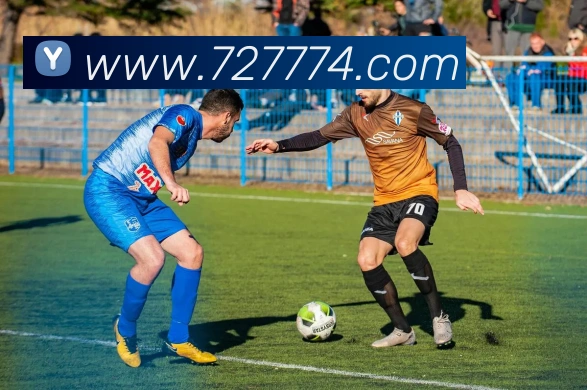 App Interface Preview