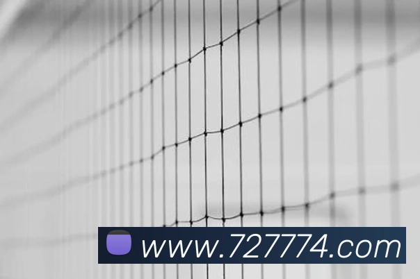 500万彩票网APP 封面图